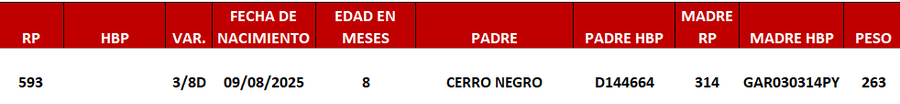Lote LOTE 3 -DE JUNIOR