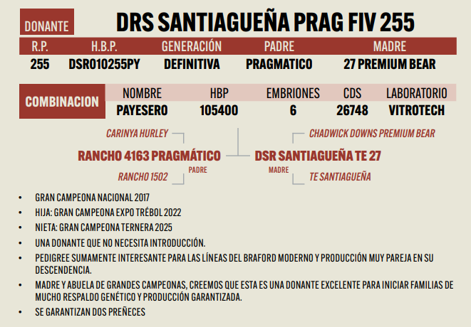 Lote LOTE 24