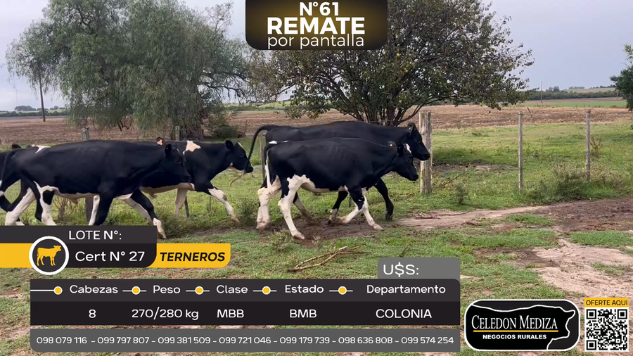 Lote 8 Terneros en Colonia Cosmopolita, Colonia