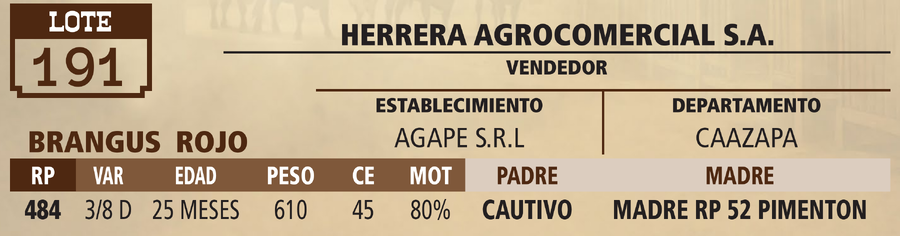 Lote LOTE 191 - VIVO