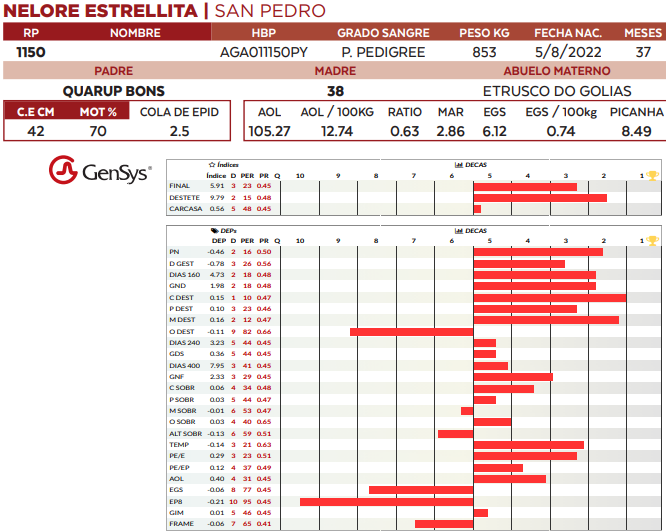 Lote LOTE 68