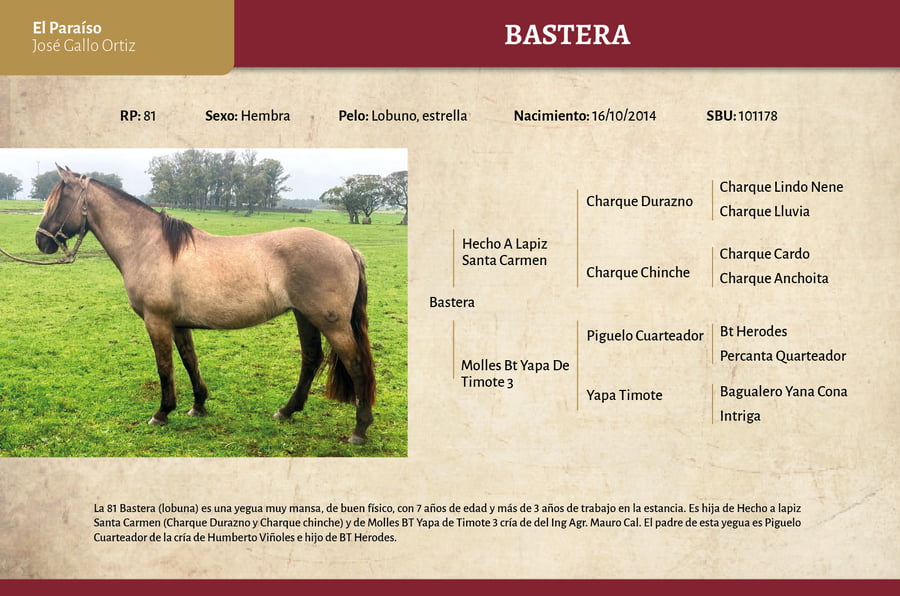 Lote Bastera (RP 81) - Cabaña El Paraíso
