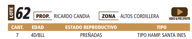 Lote LOTE 62 -POR PANTALLA