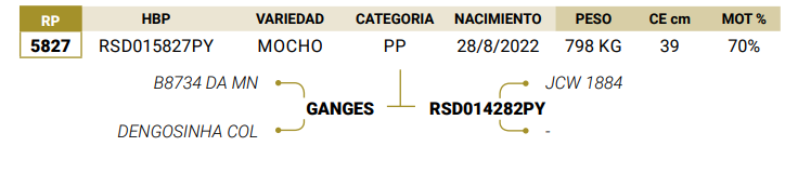 Lote LOTE 38