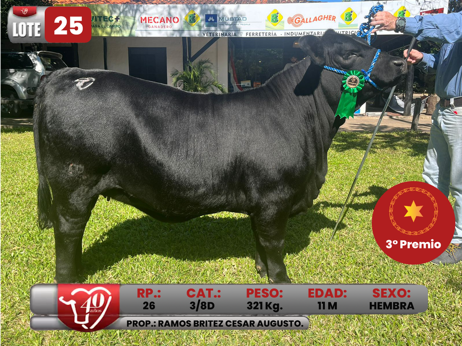 Lote LOTE 25