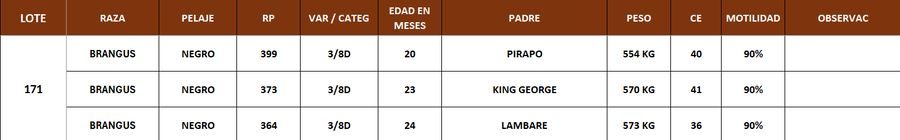 Lote LOTE 171
