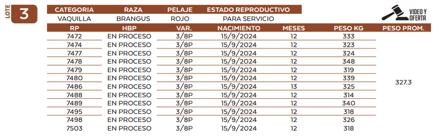 Lote LOTE 3