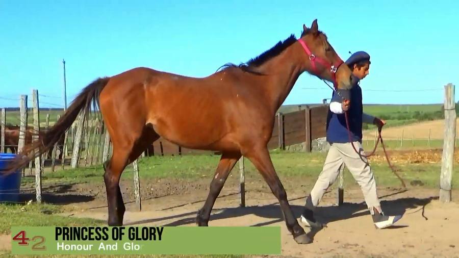 Lote PRINCESS OF GLORY