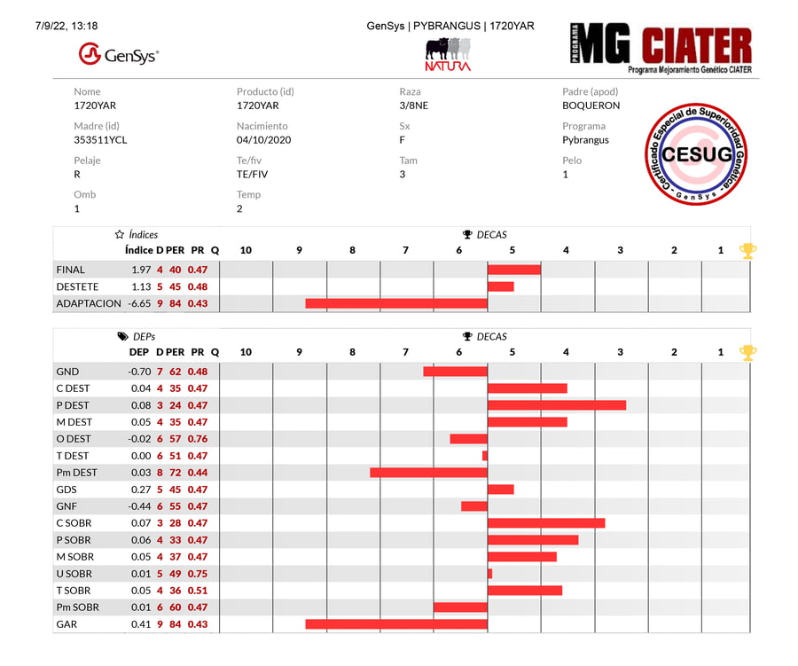 Lote LOTE 17 - DUO