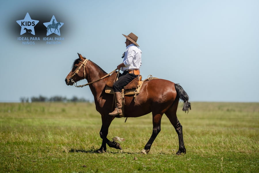 Lote FLORA LOS CERROS