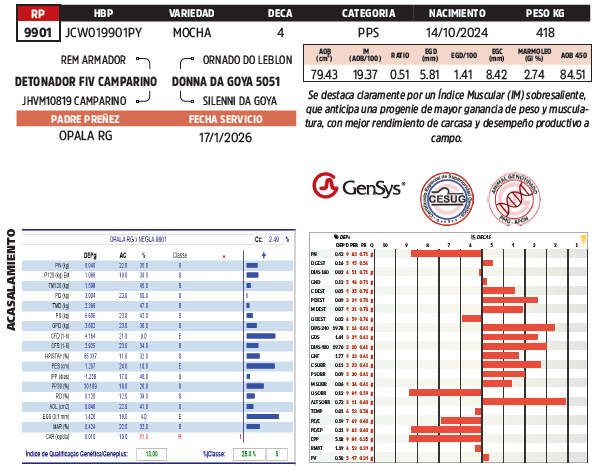 Lote LOTE 50