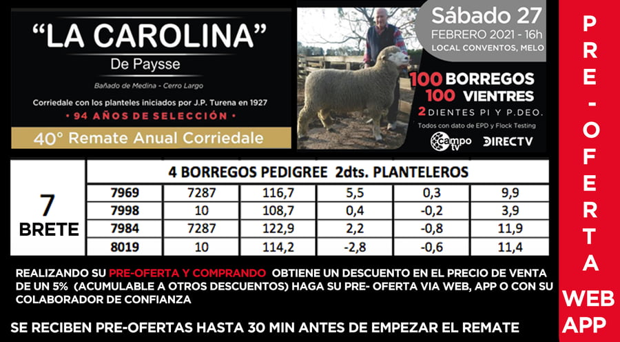 Lote 1 Borregos Planteleros en Cerro Largo, Cerro Largo