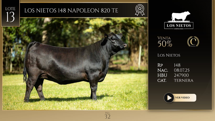 Lote LOS NIETOS 148 NAPOLEON 820 TE