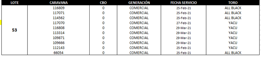 Lote Reproductores de Alborada - Lote 53
