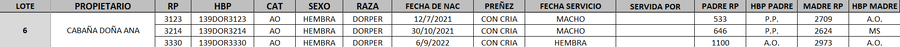 Lote LOTE 6