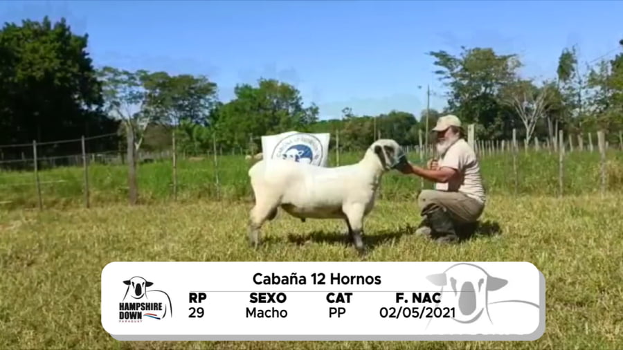 Lote LOTE 12 BOZAL - RP 29