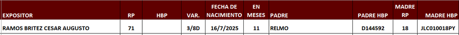 Lote LOTE 13