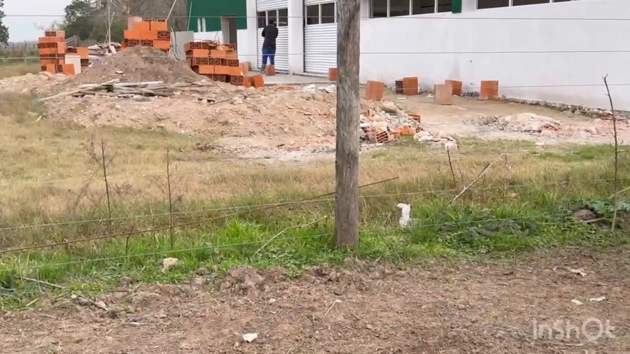 Lote 45 Terneros/as en Brandsen, Buenos Aires