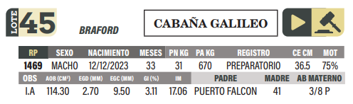 Lote LOTE 45