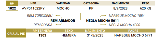 Lote LOTE 47