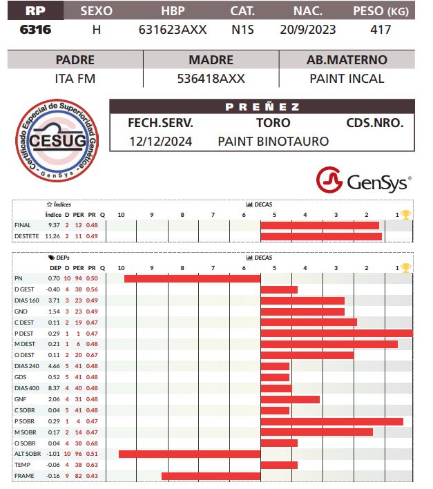 Lote LOTE 2