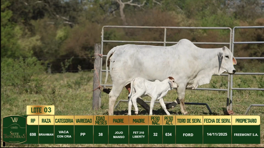 Lote LOTE 3