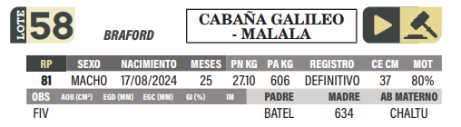 Lote LOTE 58