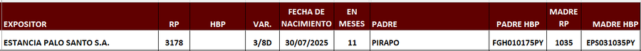 Lote LOTE 10