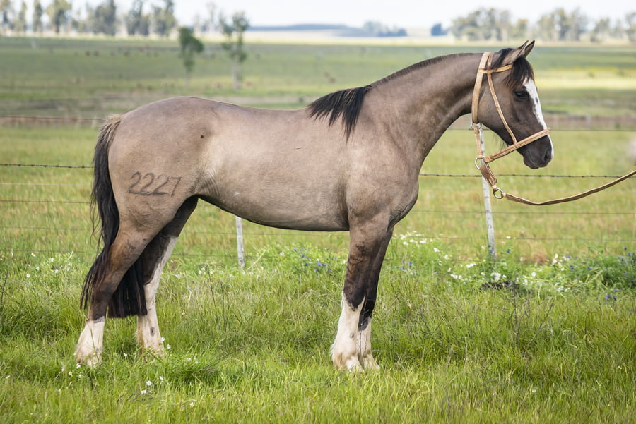 Lote DEL SILENCIO VISTA GORDA