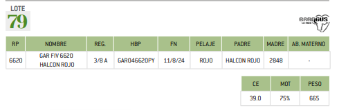 Lote LOTE 79