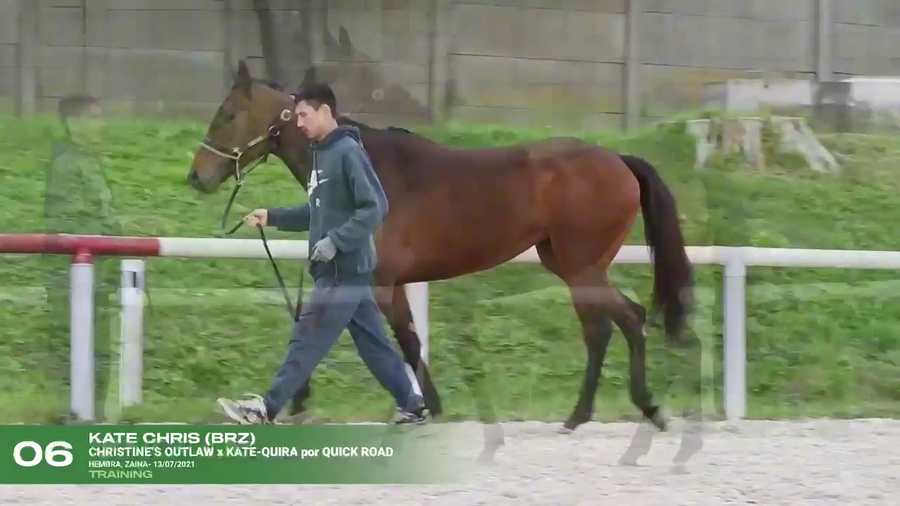 Lote KATE CHRIS (BRZ)