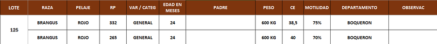 Lote LOTE 125