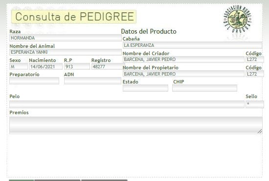 Lote TORO PI - RP 913