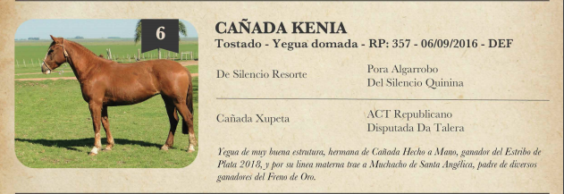 Lote Criollos da Fronteira Cañada Kenia  RP: 357