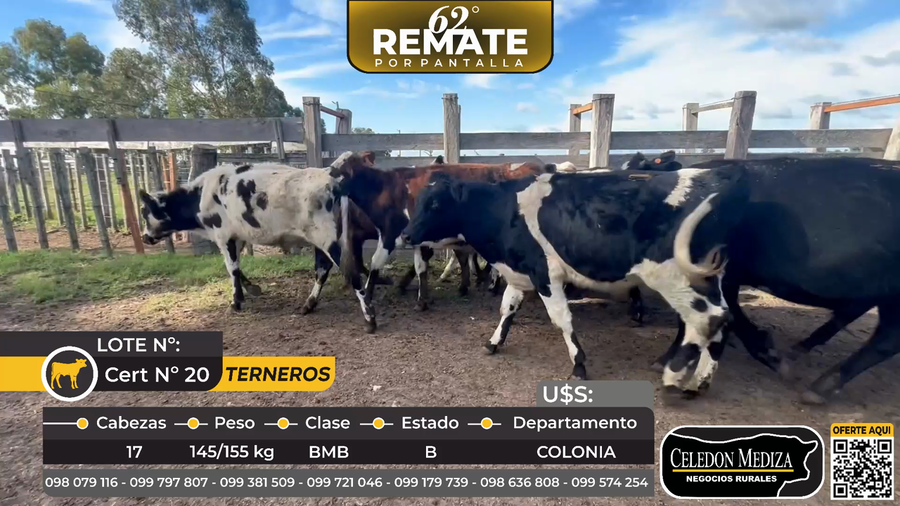 Lote 17 Terneros en Tarariras, Colonia