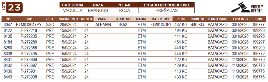 Lote LOTE 23