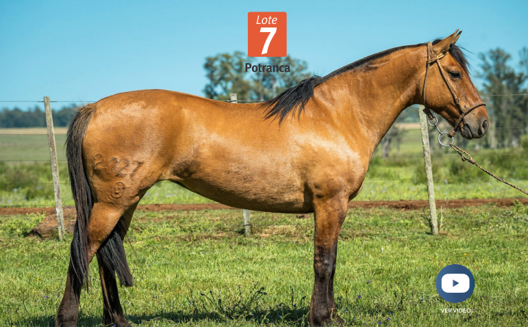 Lote DEL SILENCIO BANQUINA