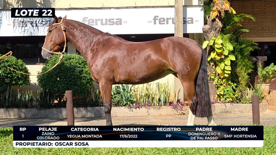 Lote LOTE 22- DE BOZAL