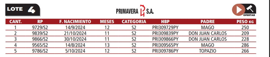 Lote LOTE 4