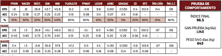 Lote VICHADERO DN 1491