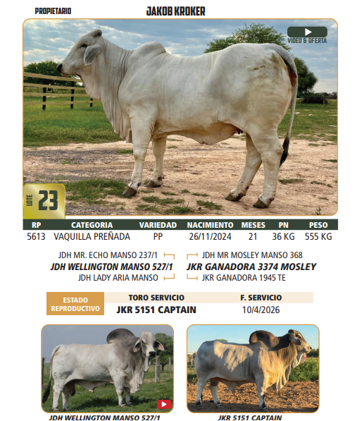 Lote LOTE 23