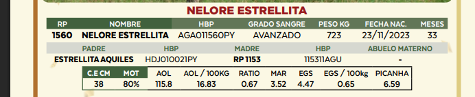Lote LOTE 82