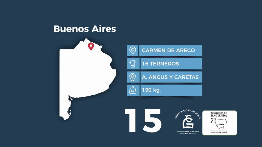 Lote 16 Terneros en Buenos Aires, San Antonio de Areco