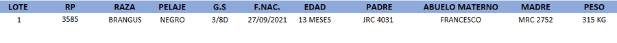 Lote LOTE 1