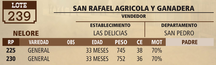 Lote LOTE 239 - VIVO