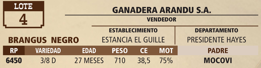 Lote LOTE 4 - VIVO