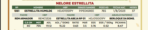Lote LOTE 53