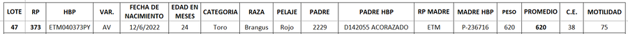 Lote LOTE 47
