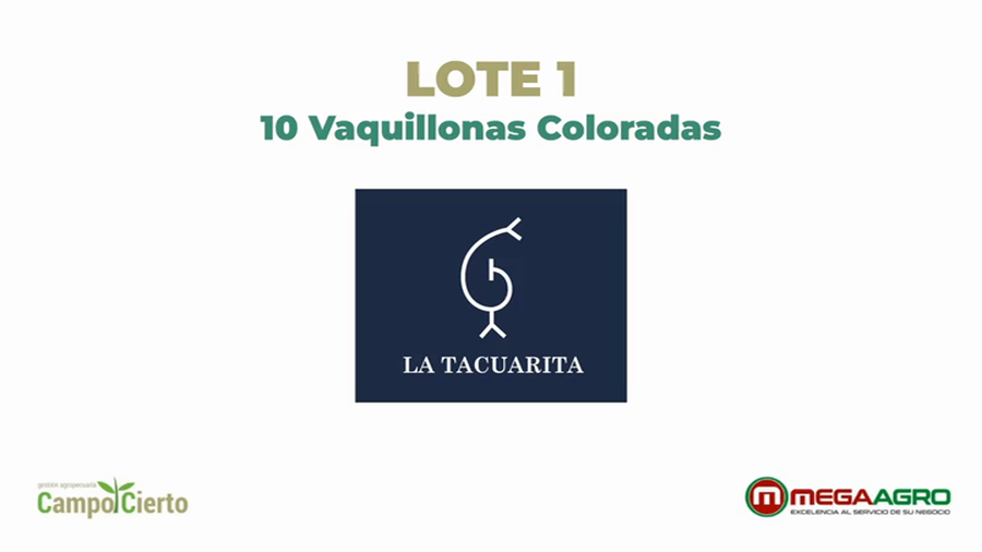 Lote LA TACUARITA