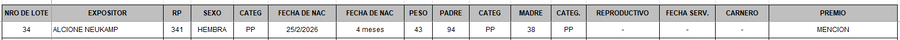 Lote LOTE 34 - BOZAL